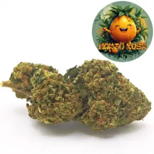 Mango 40 %